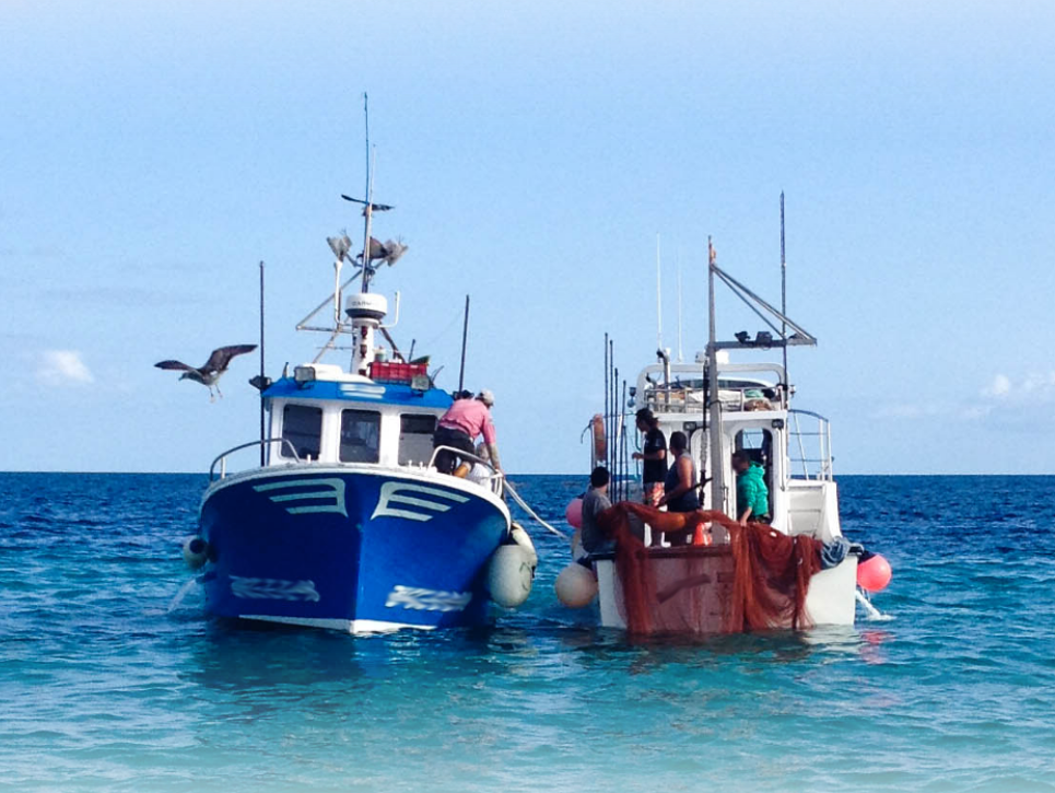 barcos de pesca